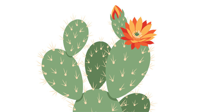 Prickly pear cactus pads cluster together with a bright orange flower blooming atop the succulent growth against a clean white background.