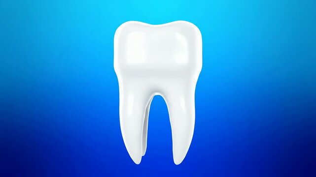 Anatomically Correct 3D Molar Tooth Rotating Seamlessly on a Blue Background for Medical and Dental Concepts