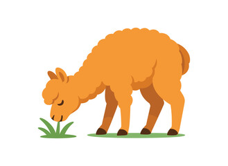 Flat vector illustration of bright alpaca grazing on small tuft of grass head lowered rounded shapes clean outline clean white background