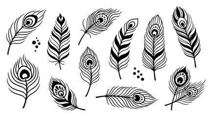 Collection of stylized peacock feathers Decorative bird feather icons vector set Beautiful elegant design elements © Aisha Kudorova