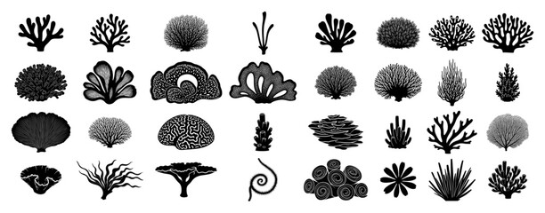 Collection of coral reef and seaweed vector silhouettes underwater sea plant and marine algae icons set © Aisha Kudorova