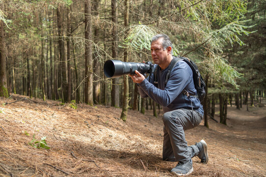 Man kneeling in a pine forest, holding a telephoto lens, capturing wildlife