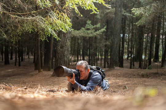 Wildlife photographer in forest lying down, capturing nature with telephoto lens