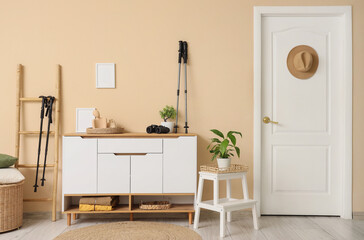 Interior of stylish room with white cabinet, houseplants and walking poles