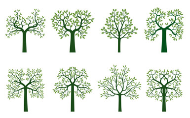 A trees drawn by hand. Green leaves on branches.  Vector Illustration.