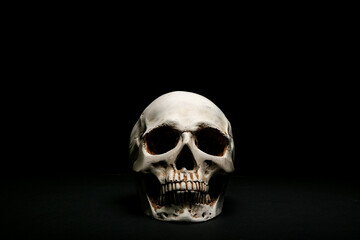 Fototapeta premium Human skull on dark background