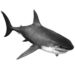 A Shark in black white halftone isolated with transparent background 