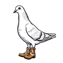 Pigeon wearing cowboy boots illustration, funny urban bird western doodle, cute city dove character, ranch animal apparel, novelty tee shirt graphic, isolated design, cartoon mascot