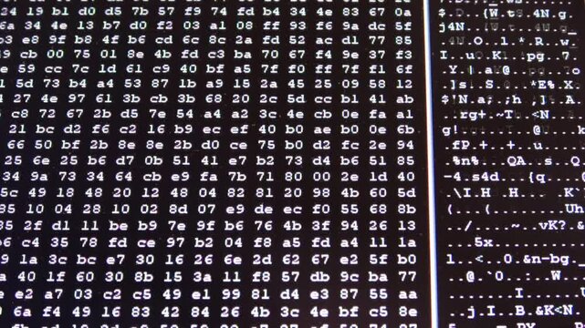 Scrolling hexadecimal code on a computer screen