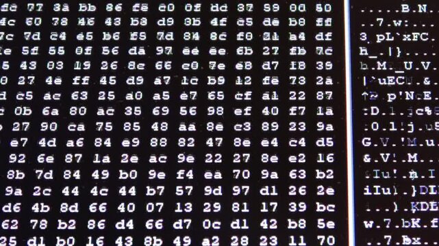Hexadecimal computer code scrolling on black screen