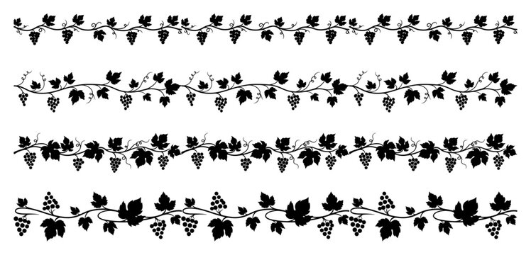 Decorative horizontal grapevine borders with black grapes and leaves for winery design