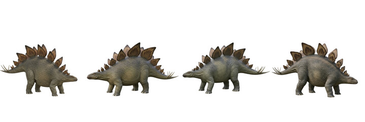 Set of Extinct Stegosaurus Dinosaur Group Isolated on White Background, Oil Paint © Zohan