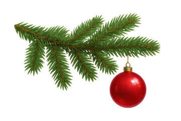 Christmas fir branch with hanging red bauble creating festive holiday decoration on transparent background