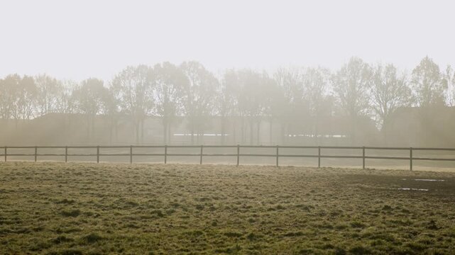 Foggy rural scene with grassy field, wooden fence, leafless trees, and faint buildings soft morning light enhances tranquil seasonal atmosphere.