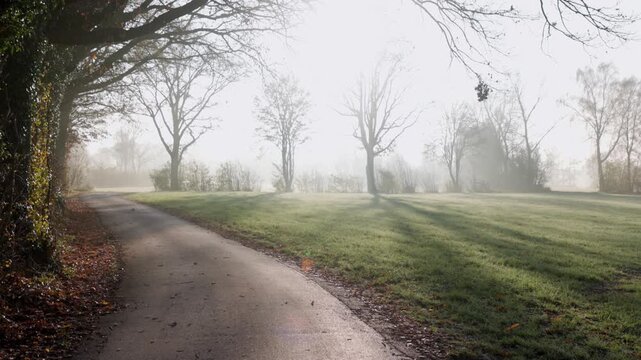 Curving paved path through frosty grass and leafless trees, golden sunlight and mist create a tranquil, ethereal late autumn scene.