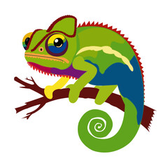 iguana ilustraci&oacute;n