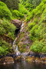 small waterfall in the forest