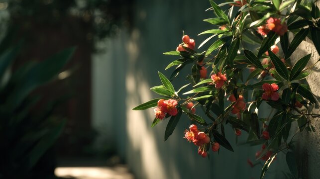 Floral Tranquility: A Serene Garden Scene with Blooming Flowers