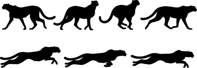 Cheetah Silhouette Set, Running, Walking, and Crouching Action Poses, Fast Wild Animal in Motion, Black Vector Graphic Illustration Content. © Goutom