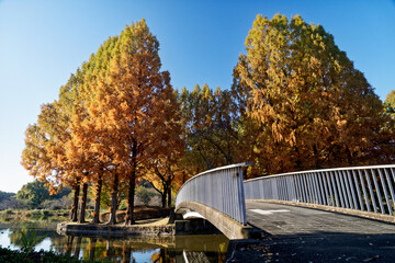 Bridge to Autumn
