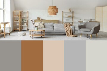 Interior of light living room with sofa, shelving units and armchair. Different color patterns