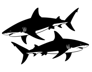 Obraz premium Two sharks in silhouette