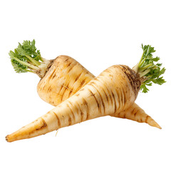 Two fresh parsnips with green tops on a white background