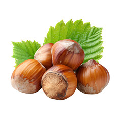 Fresh hazelnuts with green leaves on a white background