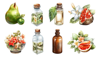 Soft Floral Botanical Elements for Perfume Making in Watercolor Style