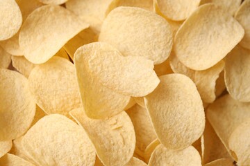 Homemade Flavored Paprika Potato Chips in a Bowl, top view. Flat lay