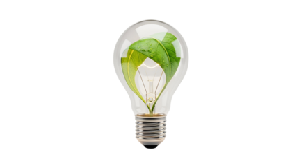 A glowing light bulb contains a fresh green leaf, symbolizing sustainable energy