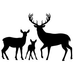 Deer Family