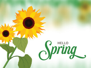 Flower illustration showing sunflower blooms with green leaves and soft colors, ideal for spring greetings, posters, cards, banners, prints, and decorative backgrounds.
