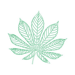 Tropical leaf icon on white background, Tropical leaf silhouette, Exotic jungle leaf, Exotic plant foliage symbol, Botanical poster design element