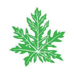 Tropical leaf icon on white background, Tropical leaf silhouette, Exotic jungle leaf, Exotic plant foliage symbol, Botanical poster design element