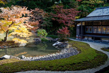 Autumn&rsquo;s Quiet Garden