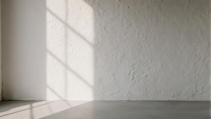An empty white interior with textured walls, shadows from a window, and a concrete floor