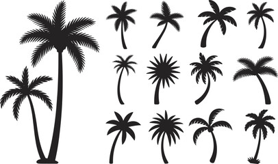 Fototapeta premium Silhouettes of Tropical Palm Trees in Various Shapes and Styles for Nature, Travel, Summer, Beach, and Botanical Design Themes