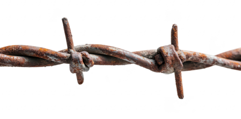 Close-up view of a rusty barbed wire strand. its twisted structure and aged texture. against a plain white background. ideal for themes of confinement or rustic elements