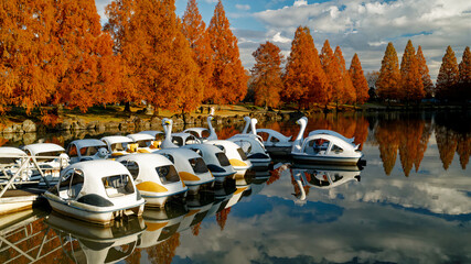 Still Waters, Burning Trees