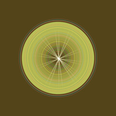 Vintage orange and lemon citrus fruit abstract color circle vector illustration design pattern