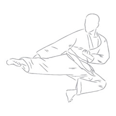 karate, karate vector sketch, movements in karate