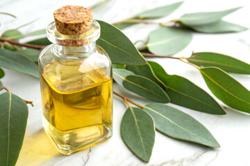 Eucalyptus oil in glass bottle