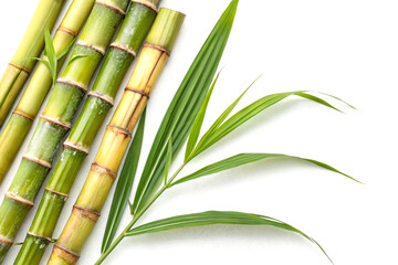 Obraz premium Whole sugar cane stalks on white