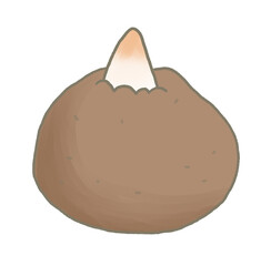 R:もっとメルヘンな野菜☆こんにゃくいも①