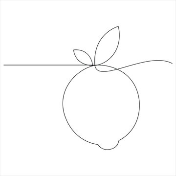Lemon fruit continuous oneline drawing vector illustration