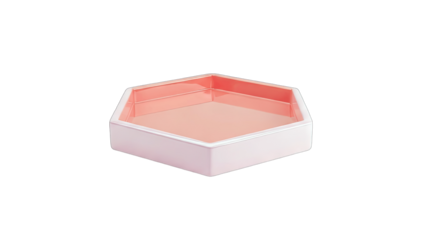 Hexagonal Tray Isolated on White Background