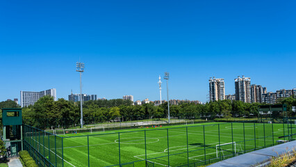 Fototapeta premium he urban park landscape with green grassland