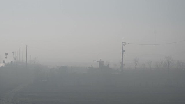 안개 낀 들판 풍경