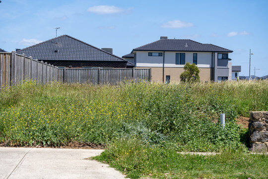An overgrown vacant residential lot filled with tall grass and wild weeds in a newly developed suburban neighborhood in Point Cook, Melbourne, Australia, with modern houses in the background. 
